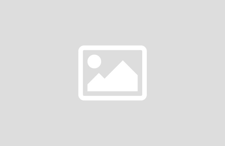Daman Game Club: An Ultimate Reliable Insight into the Expanding Online Gaming Community 2025